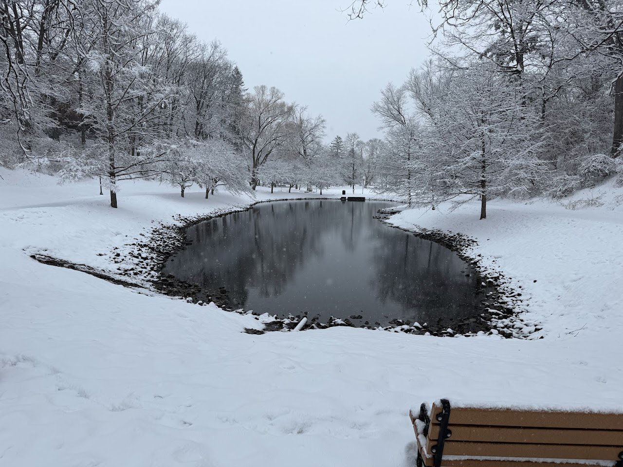 Snow-covered pond landscape in Saratoga Springs, NY